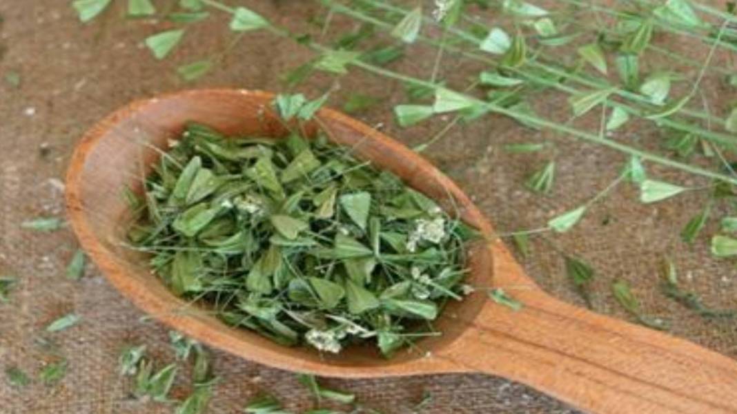 İbrahim Saraçoğlu'ndan hayat kurtaran tarif! Kalp damarlarını temizliyor, tansiyonu dengeliyor: Basurun en kesin çaresi 4